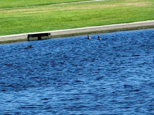 Park «Don Knabe Community Regional Park», reviews and photos, 19700 Bloomfield Ave, Cerritos, CA 90703, USA