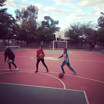 BasketBallance Colonos