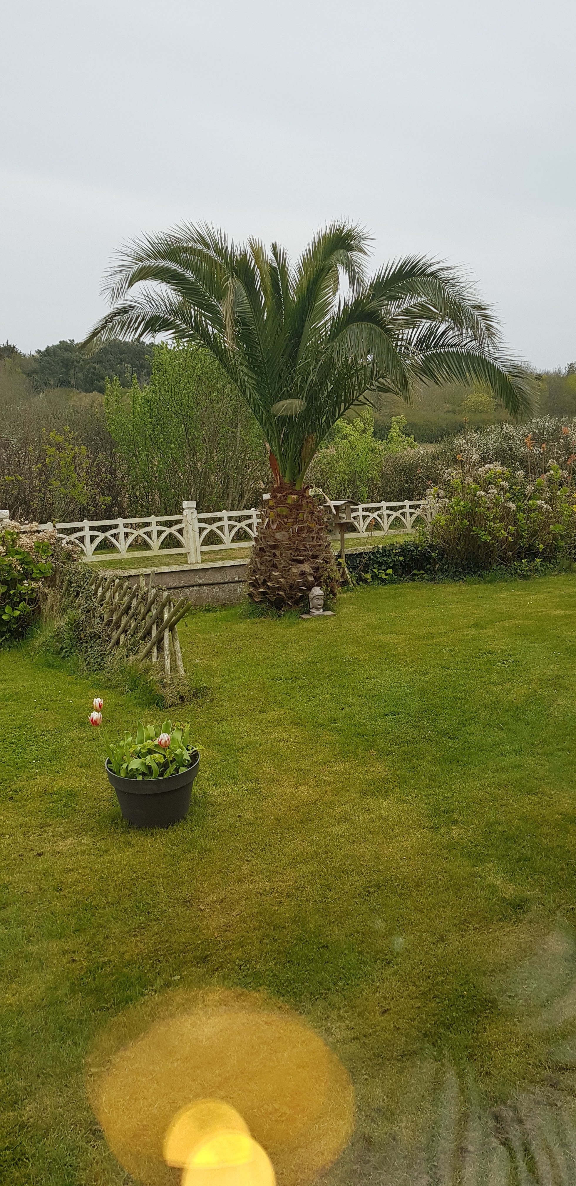 Photo n° 5 de l'avis de RENOU.� fait le 16/05/2019 à 19:14