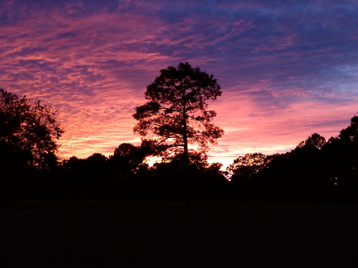 Golf Course «Clear Creek Golf Course», reviews and photos, 1566 Tiffentown Rd, Vicksburg, MS 39183, USA