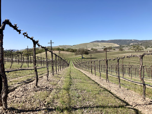 Winery «Pierce Ranch Vineyards», reviews and photos, 499 Wave St, Monterey, CA 93940, USA