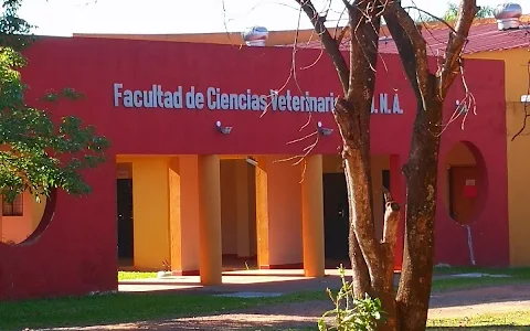 Hospital Veterinario de la Facultad de Ciencias Veterinarias - UNA image