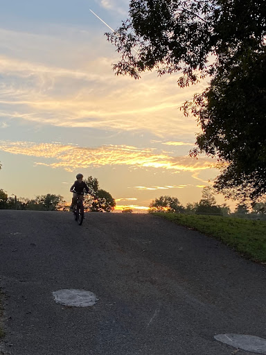 Bicycle Store «Cedar Bluff Cycles», reviews and photos, 9282 Kingston Pike, Knoxville, TN 37922, USA