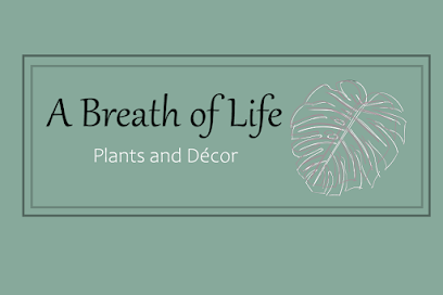 A Breath of Life Plants and Decor