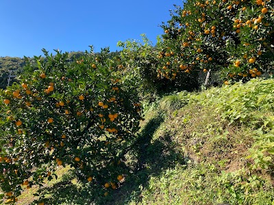 新屋敷園