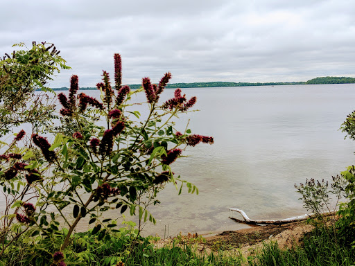 Park «Lake Waconia Regional Park», reviews and photos, 8170 Paradise Ln, Waconia, MN 55387, USA