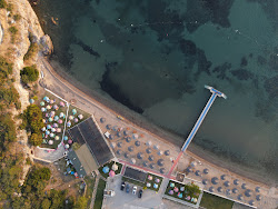 Tilki Koyu beach'in fotoğrafı ve yerleşim