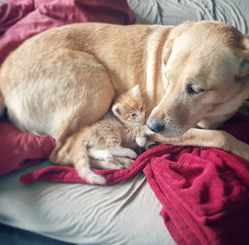 Sabine Dietz unter Deuerling, Bayern