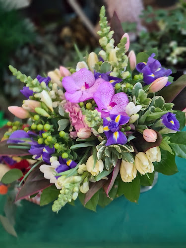 Opinii despre Floraria Amaryllis flowers by Misi în <nil> - Florărie