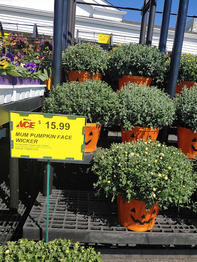 Hardware Store «John W Weiss Ace Hardware», reviews and photos, 1560 Waukegan Rd, Glenview, IL 60025, USA