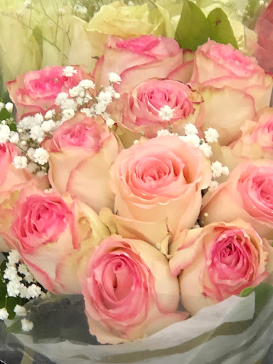 Grocery Store «Stop & Shop», reviews and photos, 55 Brick Blvd, Brick, NJ 08723, USA