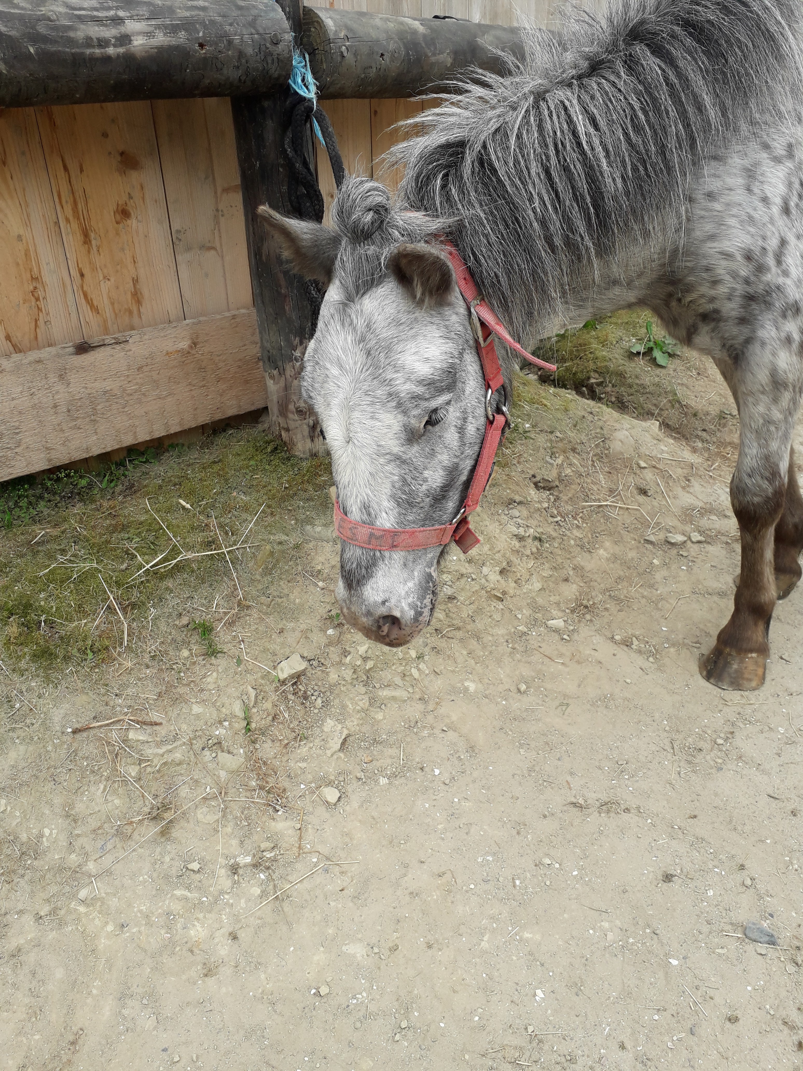 Photo n° 2 de l'avis de Hugues.q fait le 03/07/2018 à 02:35
