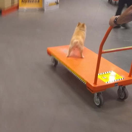 Home Improvement Store «The Home Depot», reviews and photos, 1550 Old Country Rd, Riverhead, NY 11901, USA