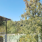 Photo n° 5 de l'avis de Christophe.e fait le 04/08/2022 à 22:16 pour La Guinguette des Amoureux à Saint-Mathieu-de-Tréviers