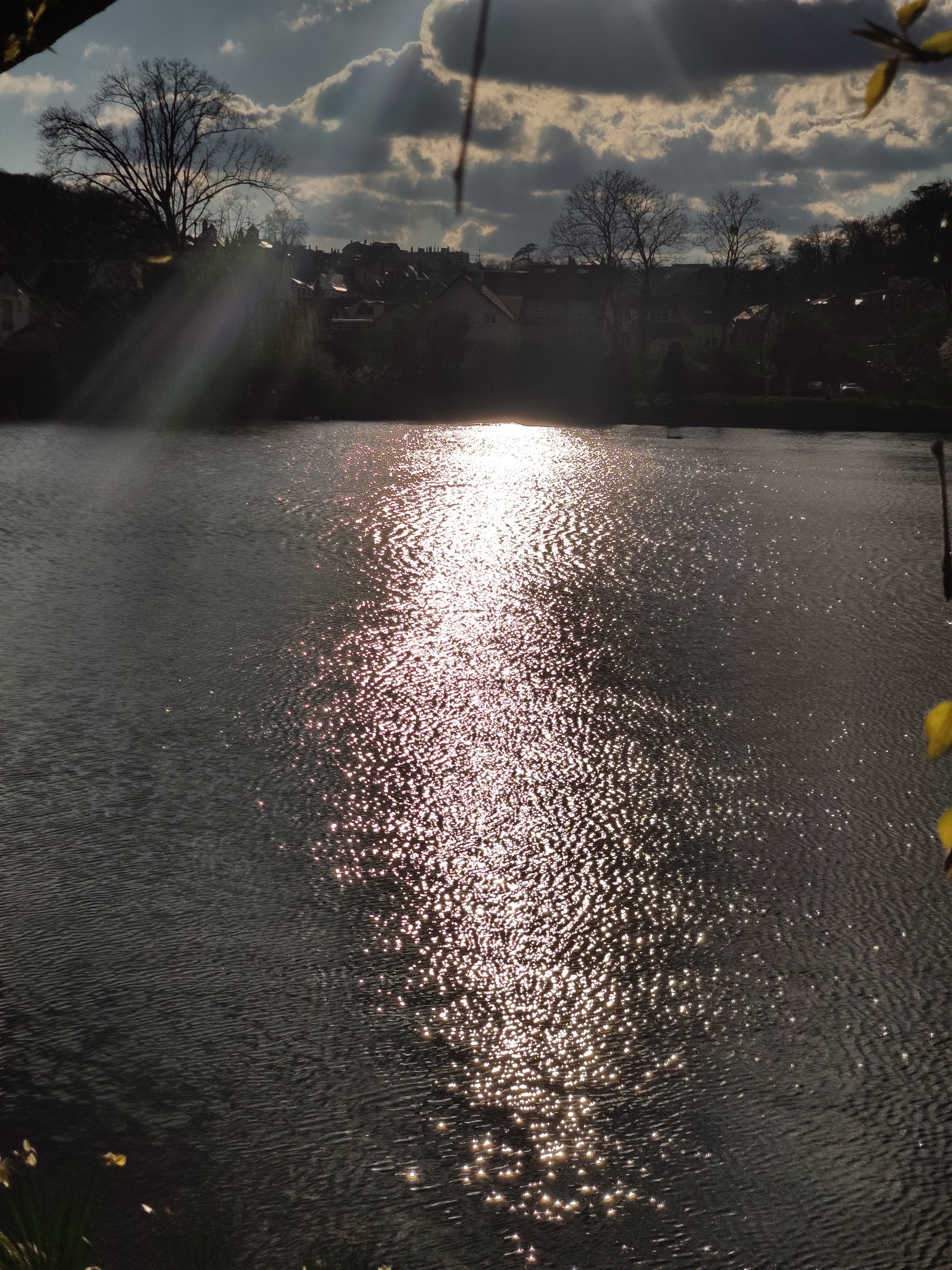 Photo n° 5 de l'avis de Marc.l fait le 21/04/2021 à 10:14