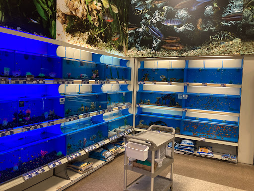 Pet Supply Store «PetSmart», reviews and photos, 32962 FM 2978 Rd, Magnolia, TX 77354, USA