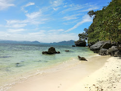 Pasandigan Cove Beach'in fotoğrafı doğal alan içinde bulunmaktadır