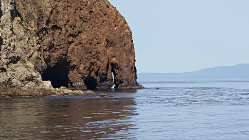National Park «Channel Islands National Park», reviews and photos