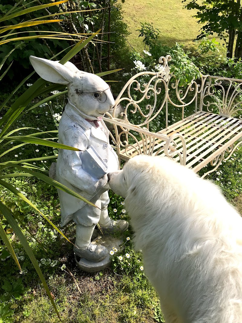 ドッグガーデンスパニエル 愛知県犬山市喜六屋敷 犬専用公園 グルコミ