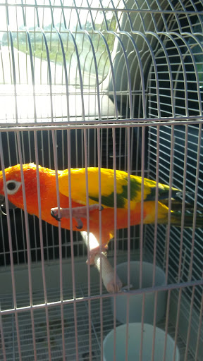 Gift Shop «The Mill», reviews and photos, 1101 Dover Rd, Clarksville, TN 37042, USA