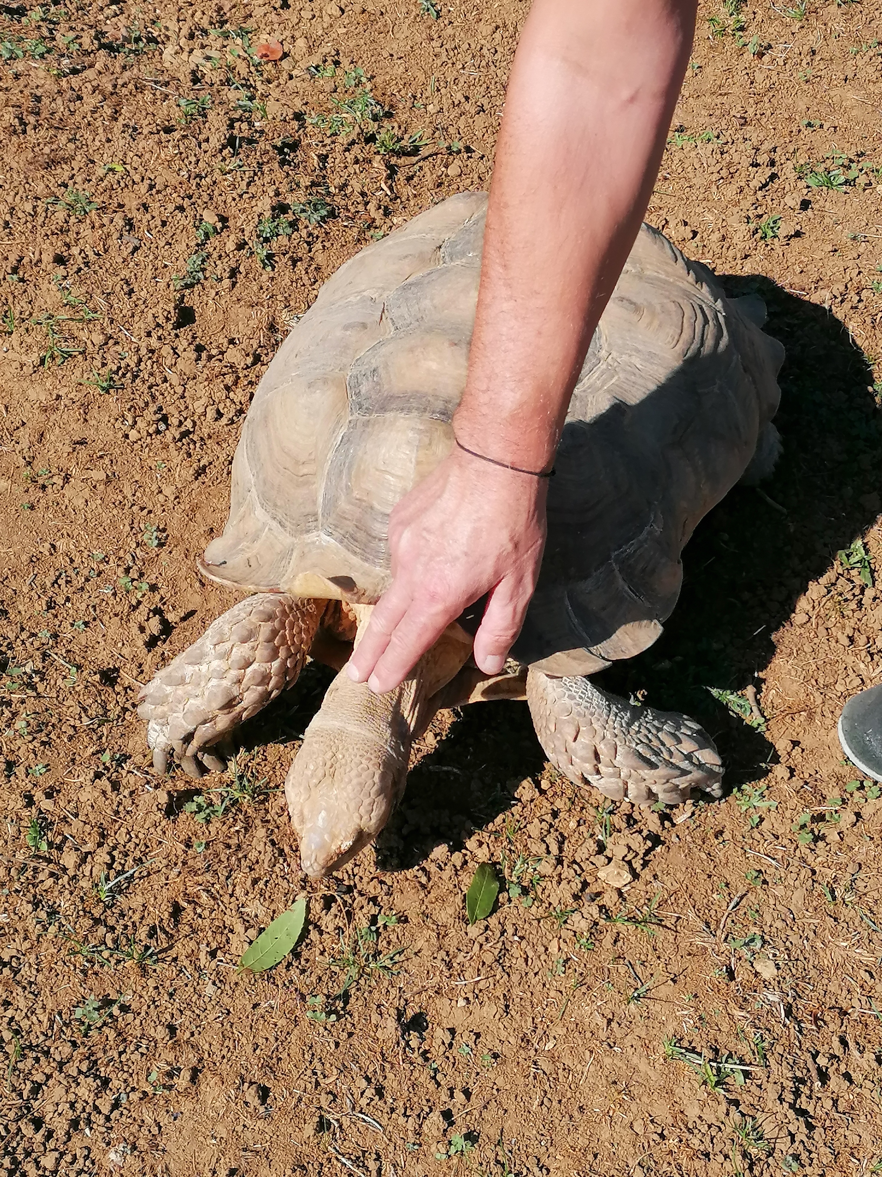 Photo n° 1 de l'avis de guerin.a fait le 06/11/2022 à 06:54