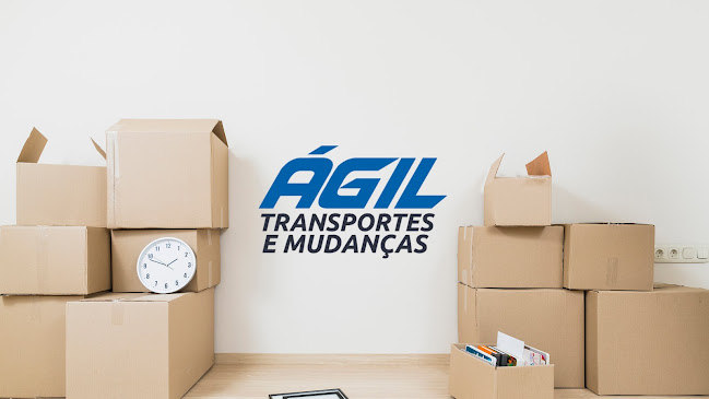 Ágil Transportes e Mudanças