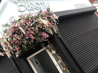 Bloom Aesthetics & Beauty Clinic