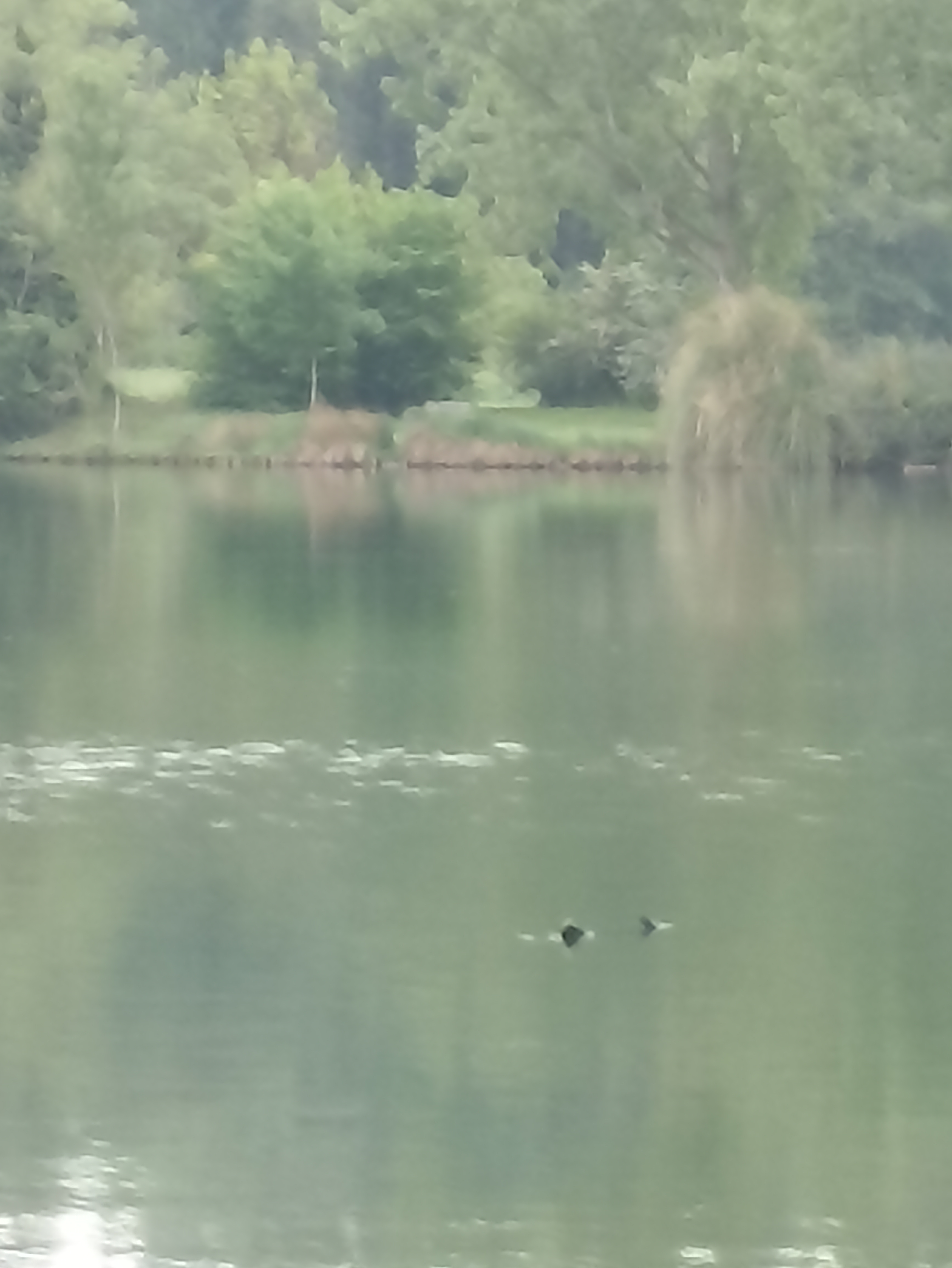 Photo n° 5 de l'avis de Niko.a fait le 15/05/2022 à 20:12