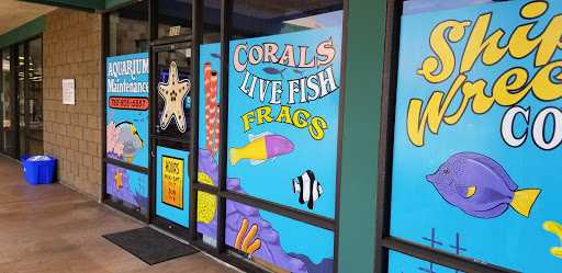 Tropical Fish Store «Shipwreck Cove Custom Aquariums», reviews and photos, 215 S El Camino Real, Encinitas, CA 92024, USA