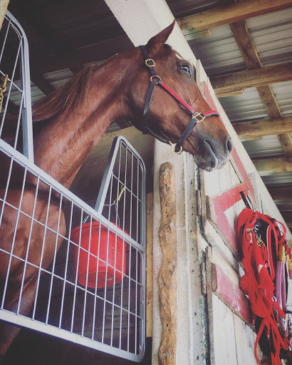 Casino «Eldorado Scioto Downs», reviews and photos, 6000 S High St, Columbus, OH 43207, USA