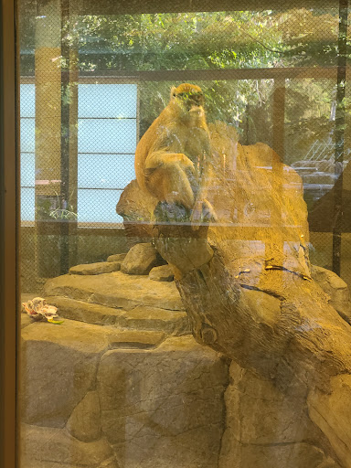 Zoo «Zoo Boise», reviews and photos, 355 Julia Davis Dr, Boise, ID 83702, USA