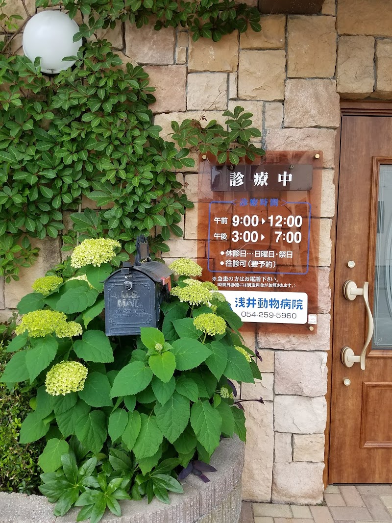 浅井動物病院 静岡県静岡市駿河区丸子 動物病院 グルコミ
