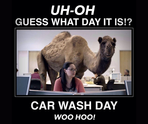 Car Wash «Clean & Green Car Wash», reviews and photos, 4105 Teasley Ln, Denton, TX 76210, USA