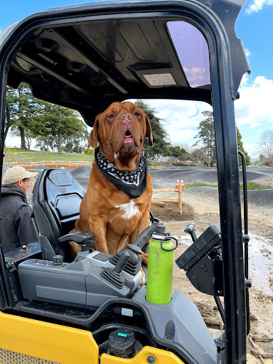 Bicycle Store «Cycle Works», reviews and photos, 1420 Mission St, Santa Cruz, CA 95060, USA