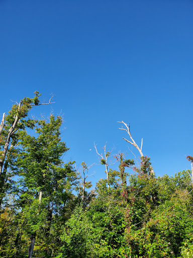 Public Golf Course «St Denis Golf Club & Party Center», reviews and photos, 10660 Chardon Rd, Chardon, OH 44024, USA