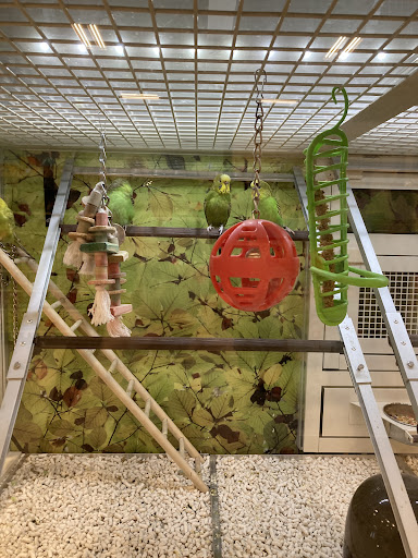 Pet Supply Store «PetSmart», reviews and photos, 2840 W Chandler Blvd, Chandler, AZ 85224, USA