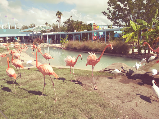 Aquarium «Miami Seaquarium», reviews and photos, 4400 Rickenbacker Causeway, Key Biscayne, FL 33149, USA