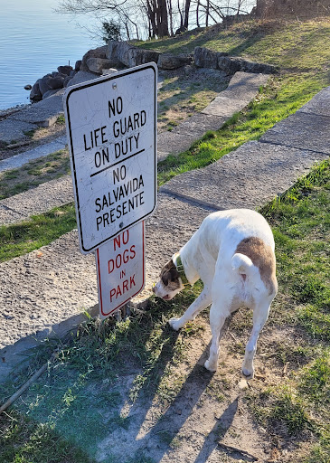 Park «Hudson Park», reviews and photos, 2919 Lakeland Ave, Madison, WI 53704, USA