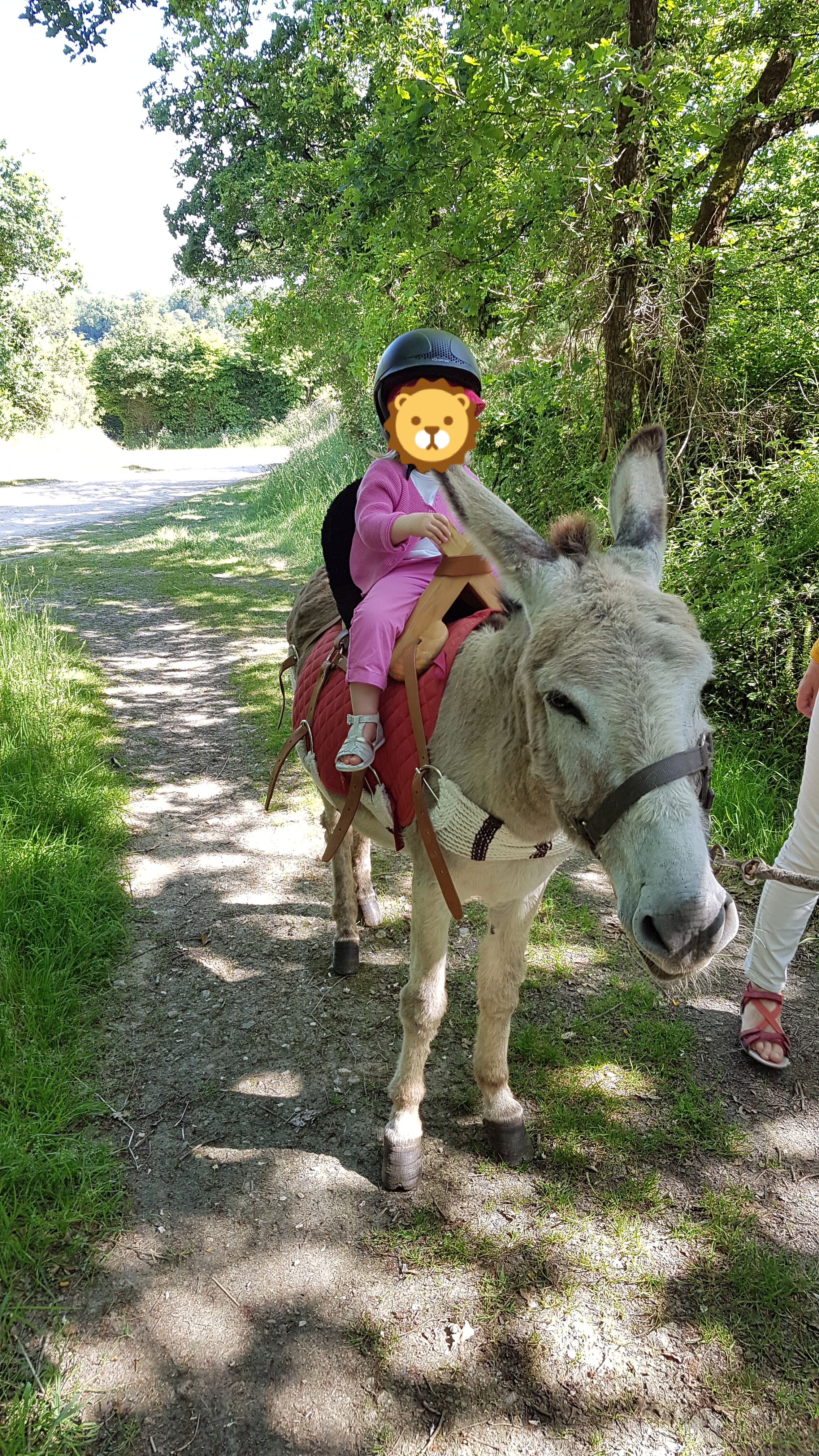 Photo n° 1 de l'avis de François.u fait le 19/05/2018 à 19:38