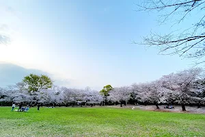 Warabi city Park image