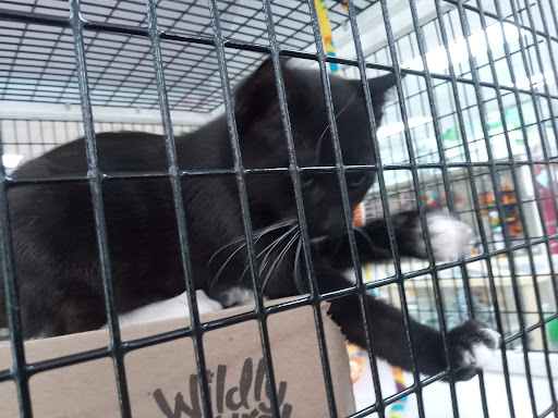 Pet Supply Store «Pet Supermarket», reviews and photos, 1040 Palm Coast Pkwy NW, Palm Coast, FL 32137, USA