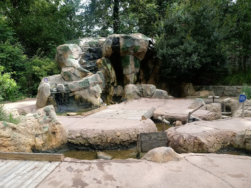 Nature Preserve «Fernbank Forest», reviews and photos, 767 Clifton Rd, Atlanta, GA 30307, USA