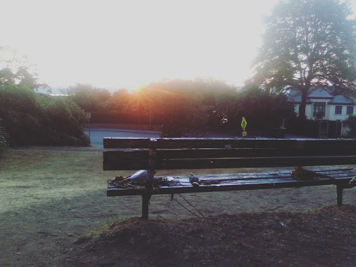 Park «Viretta Park», reviews and photos, 151 Lake Washington Blvd E, Seattle, WA 98112, USA