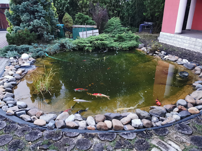 Értékelések erről a helyről: Boszi Tanya, Esztergom - Szálloda