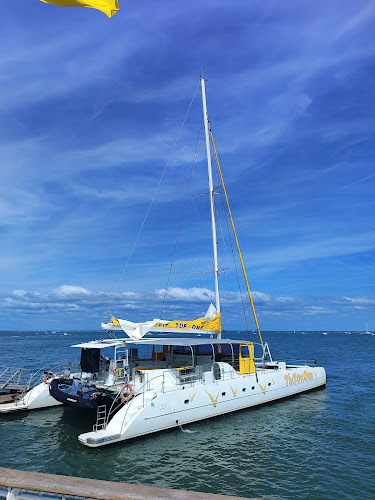 Agence d'excursions en bateau Tip Top Vent d'Arguin Arcachon