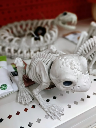 Department Store «Target», reviews and photos, 875 Lawrenceville Suwanee Rd #4000, Lawrenceville, GA 30043, USA