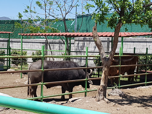 Parque Bicentenario Querétaro