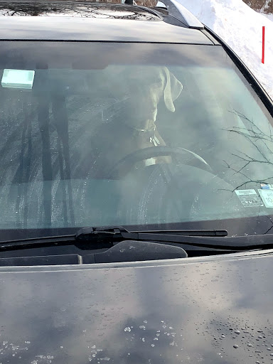 Insurance Company «Willoughby Insurance», reviews and photos