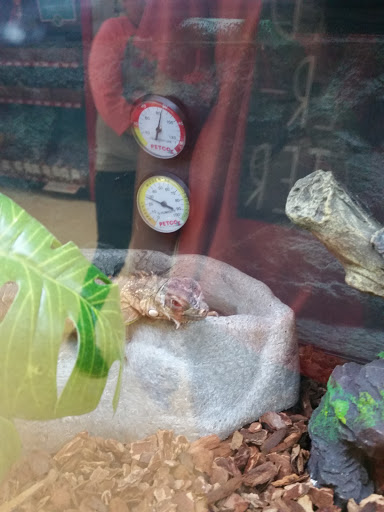 Pet Supply Store «Petco Animal Supplies», reviews and photos, 6805 Mills Civic Pkwy #140, West Des Moines, IA 50266, USA