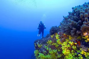 Viradu Pa Mar Diving School image